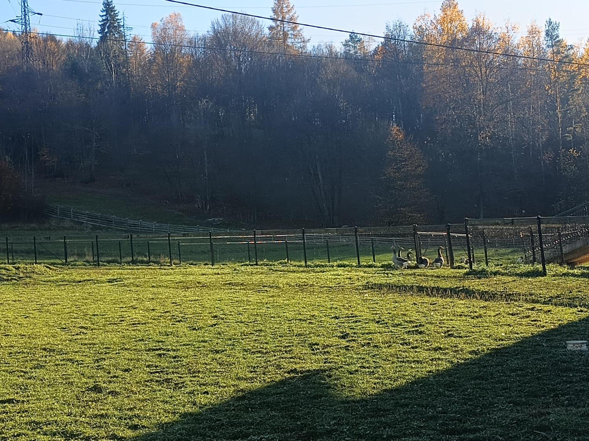Krolowo Farm stay