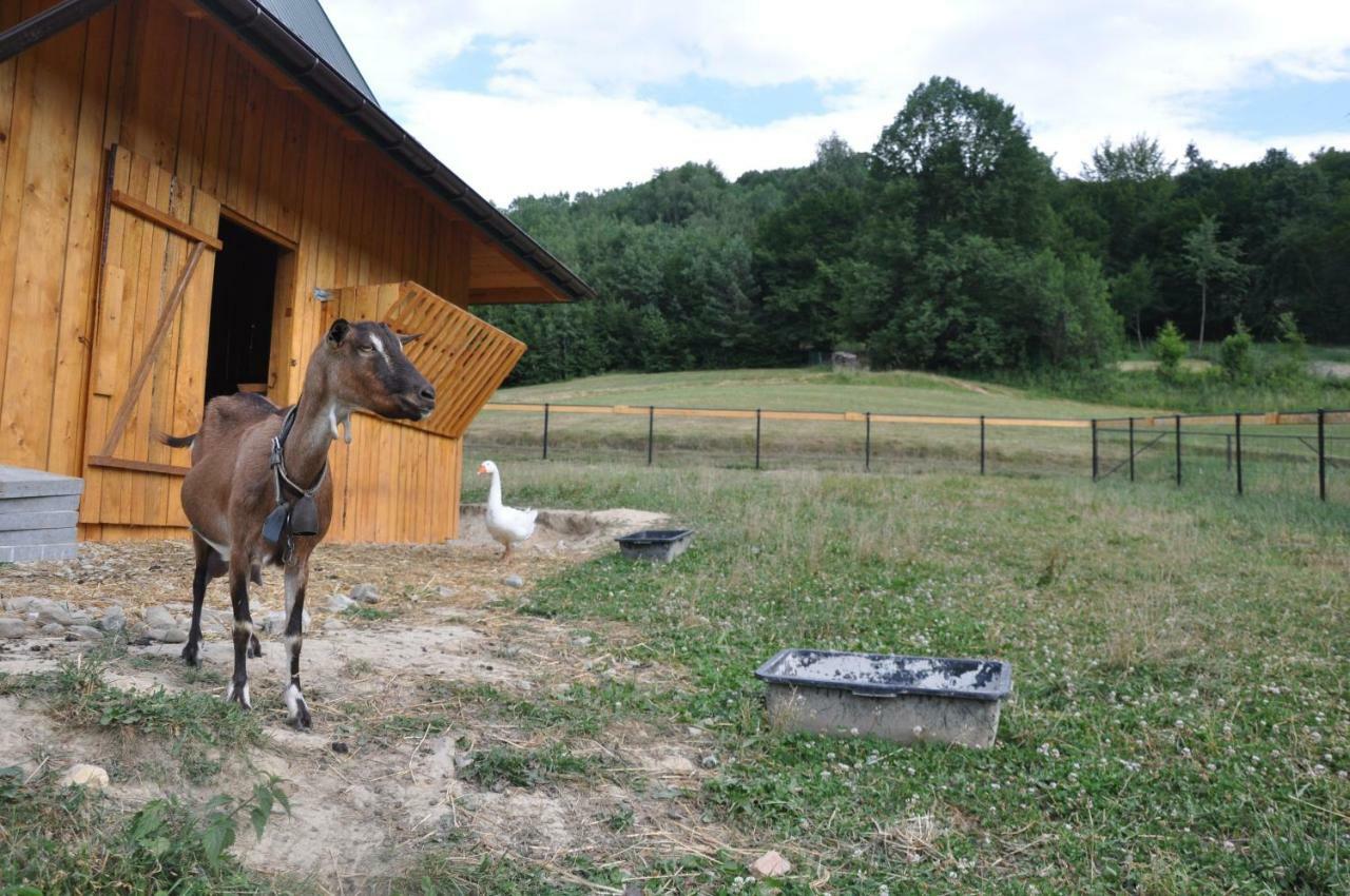 Krolowo Farm stay Tylmanowa