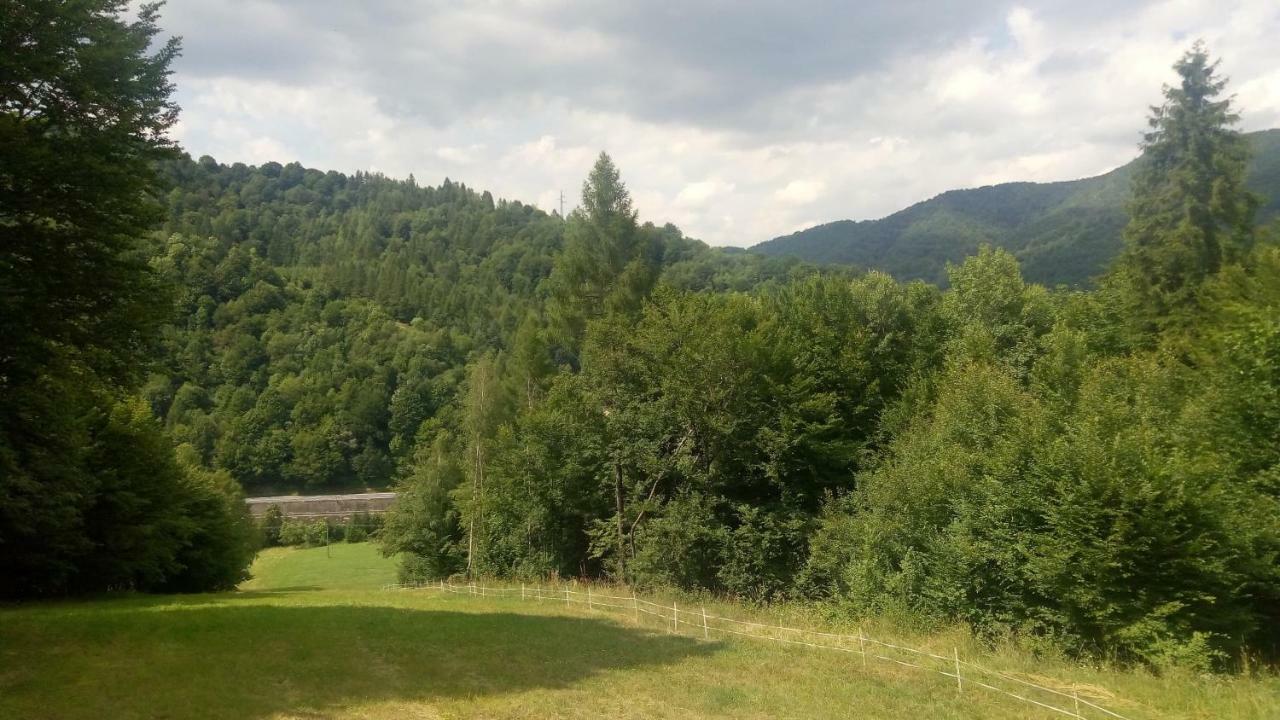Krolowo Farma Tylmanowa