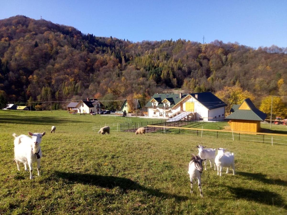 Farm stay Krolowo Tylmanowa