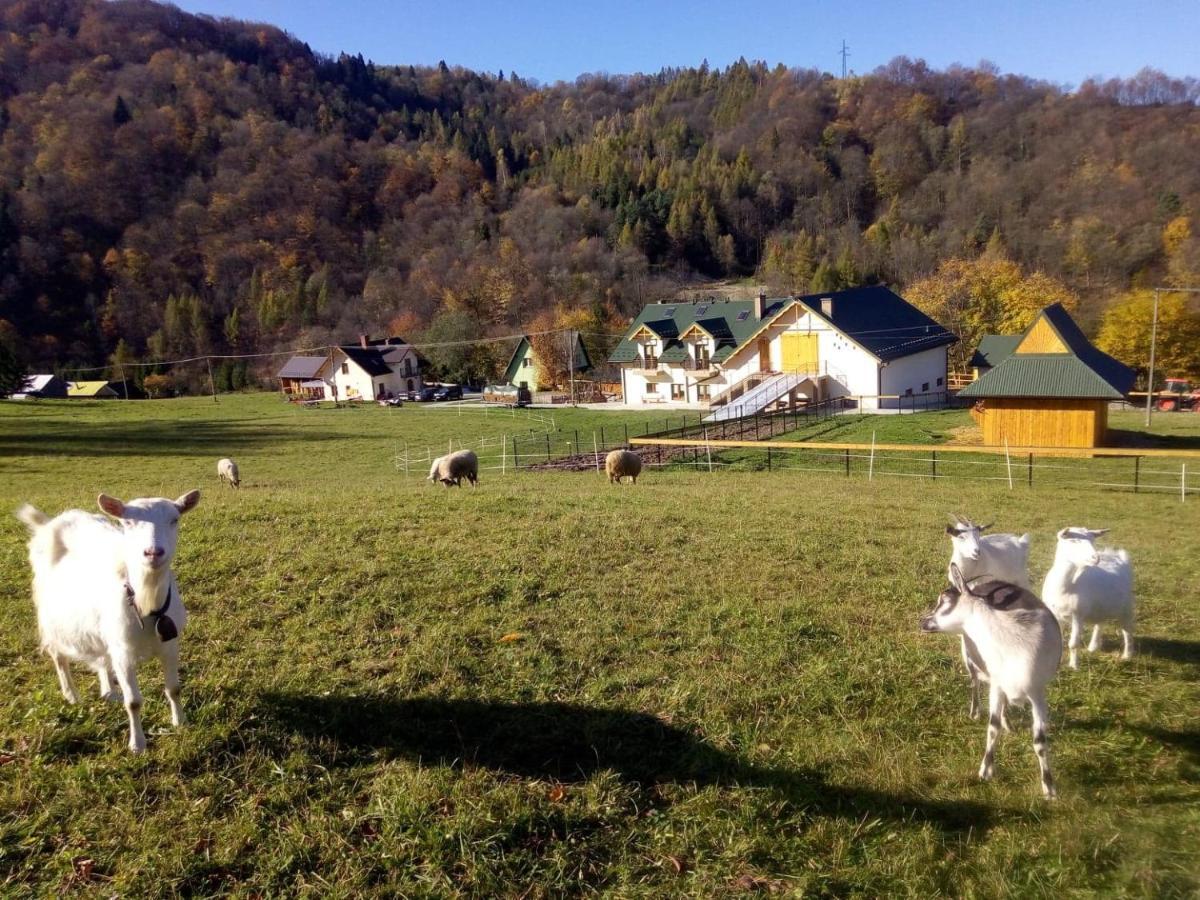 Krolowo * Tylmanowa
